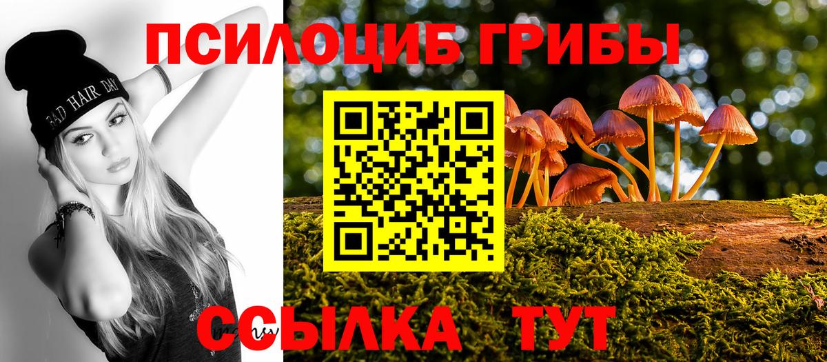 где найти   Галлюциногенные грибы прущие грибы  Тосно  Вход с VPN  Псилоцибиновые грибы ЛСД 