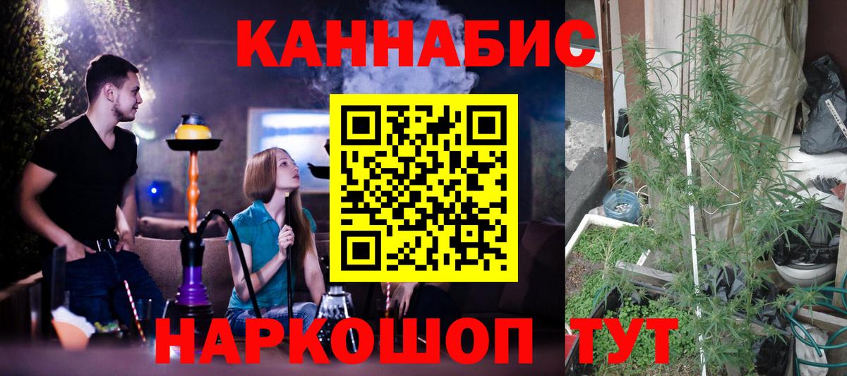 Тосно  Каннабис SATIVA & INDICA  Бошки марихуана White Widow  Вход с VPN  Конопля VHQ 